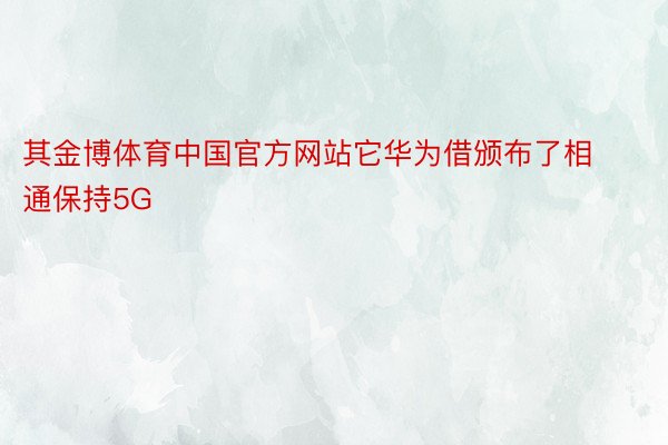其金博体育中国官方网站它华为借颁布了相通保持5G