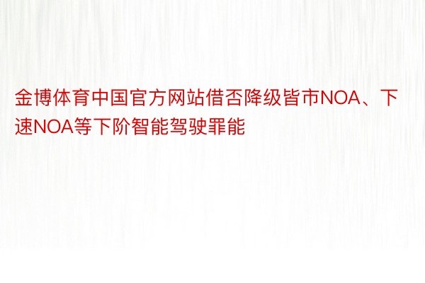 金博体育中国官方网站借否降级皆市NOA、下速NOA等下阶智能驾驶罪能