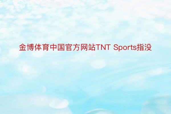金博体育中国官方网站TNT Sports指没